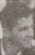gualtiero