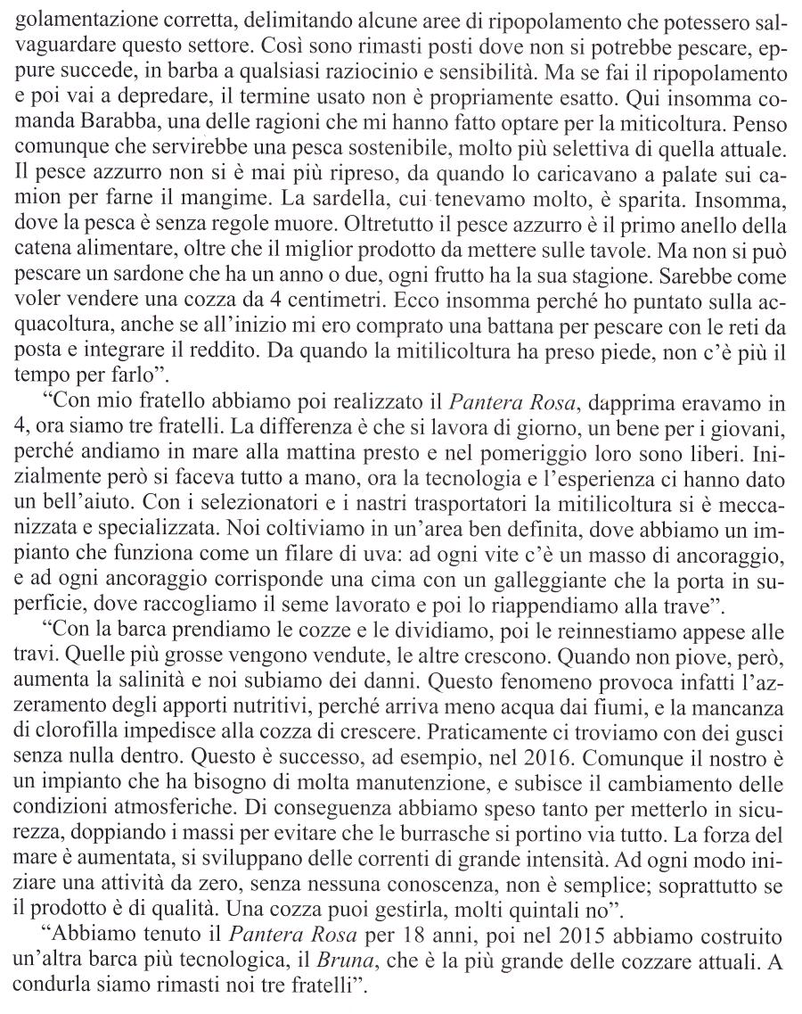 domeniconi