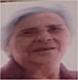 aristea