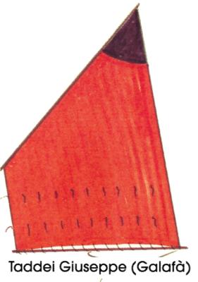 taddei