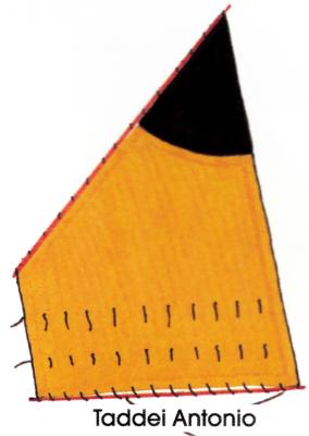 taddei